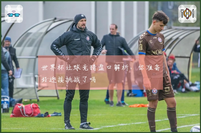 世界杯让球竞猜盘口解析，你准备好迎接挑战了吗
