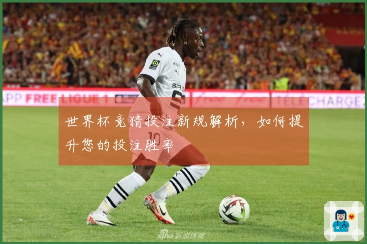 世界杯竞猜投注新规解析，如何提升您的投注胜率