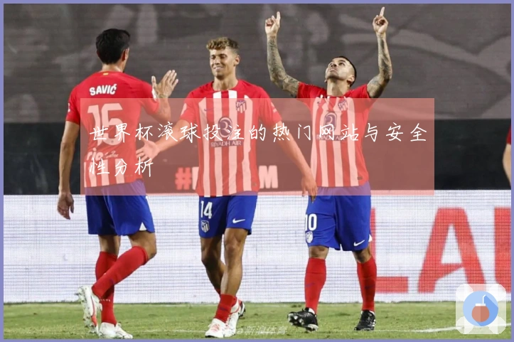 世界杯滚球投注的热门网站与安全性分析