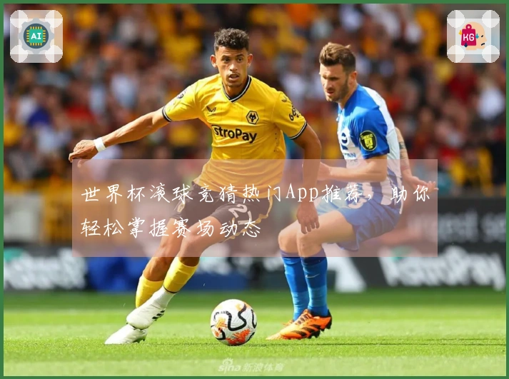 世界杯滚球竞猜热门App推荐，助你轻松掌握赛场动态