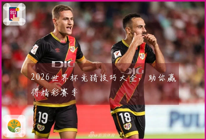 2026世界杯竞猜技巧大全，助你赢得精彩赛季