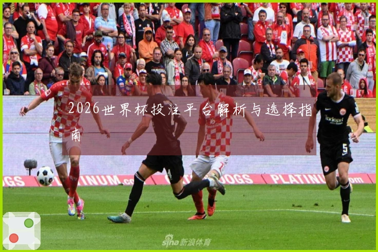 2026世界杯投注平台解析与选择指南