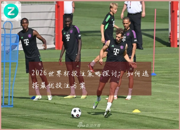 2026世界杯投注策略探讨：如何选择最优投注方案