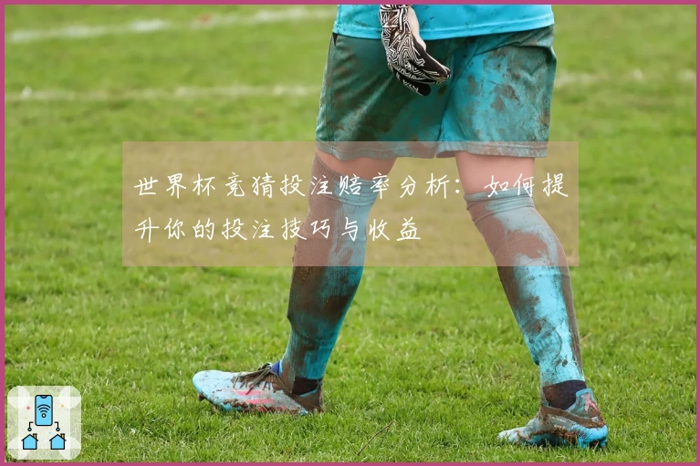 世界杯竞猜投注赔率分析：如何提升你的投注技巧与收益