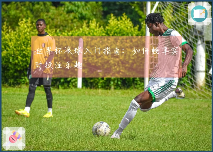 世界杯滚球入门指南：如何畅享实时投注乐趣