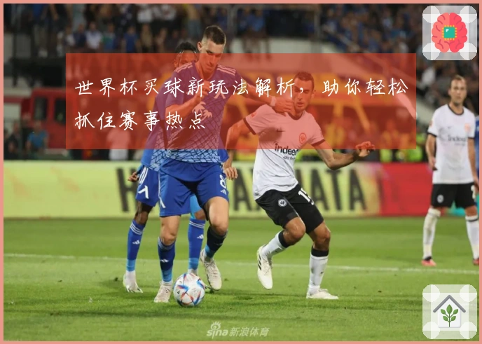 世界杯买球新玩法解析，助你轻松抓住赛事热点