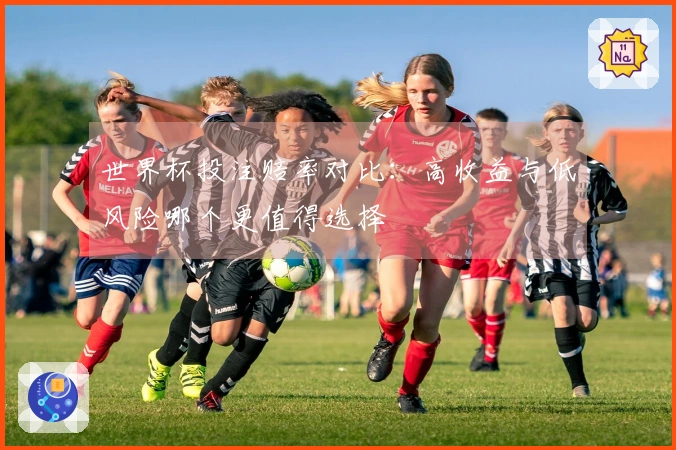世界杯投注赔率对比：高收益与低风险哪个更值得选择