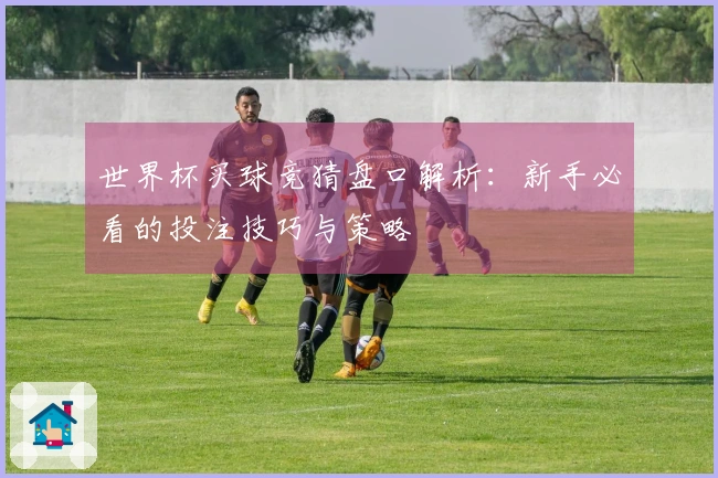 世界杯买球竞猜盘口解析：新手必看的投注技巧与策略